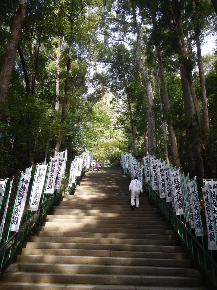 Wooded stone-step approach at Kumano Hongu Taisha