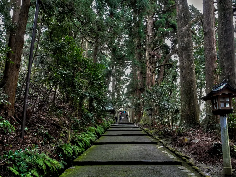 Wooded stepped main approach at Shirayama Hime Shrine
